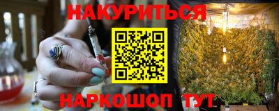 крисы Малгобек