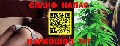 крисы Малгобек