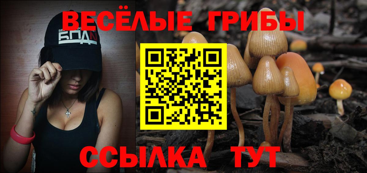 Псилоцибиновые грибы Magic Shrooms  Вход с VPN  Углич 